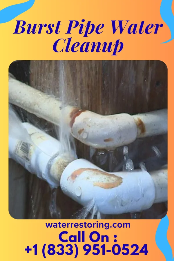 Burst Pipe Water Cleanup in Oregon, OH