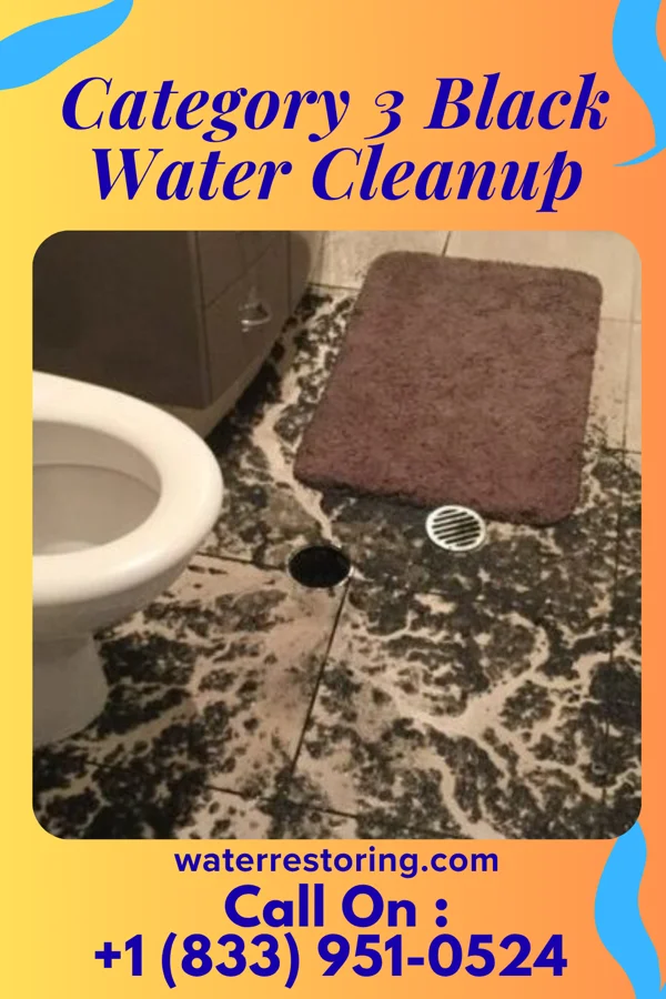 Category 3 Black Water Cleanup in Oregon, OH