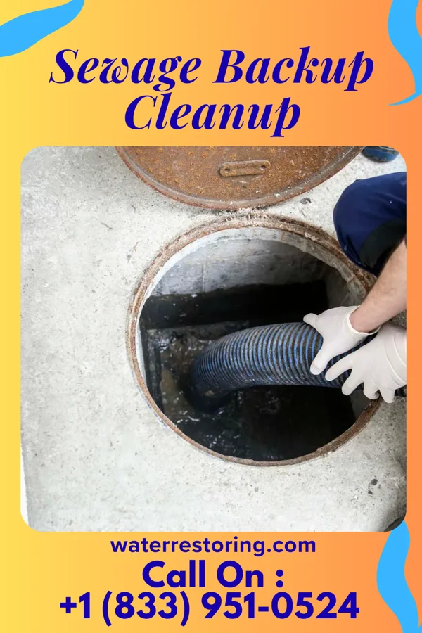 Sewage Backup Cleanup in Oregon, OH
