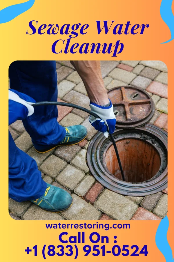 Sewage Water Cleanup in Oregon, OH