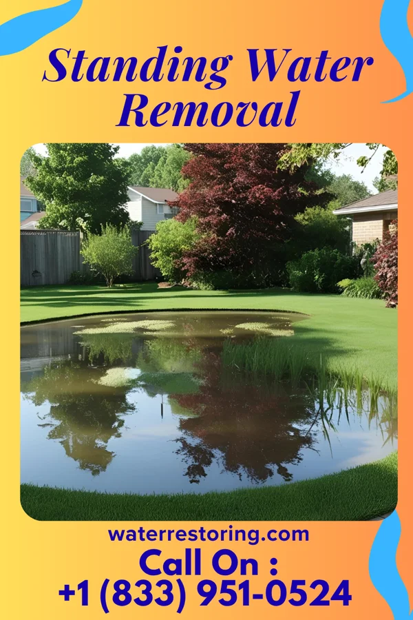 Standing Water Removal in Oregon, OH